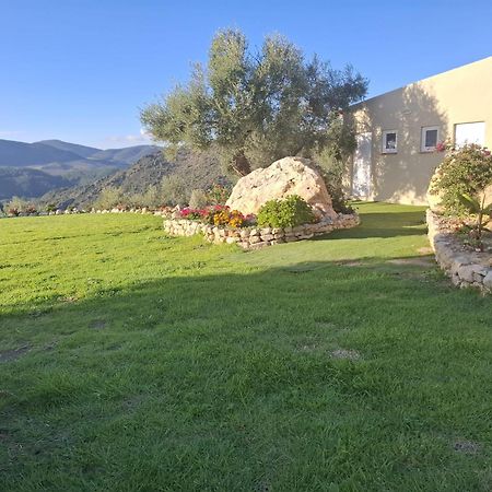 Hacienda Molino Nuevo Villa Algodonales Eksteriør bilde