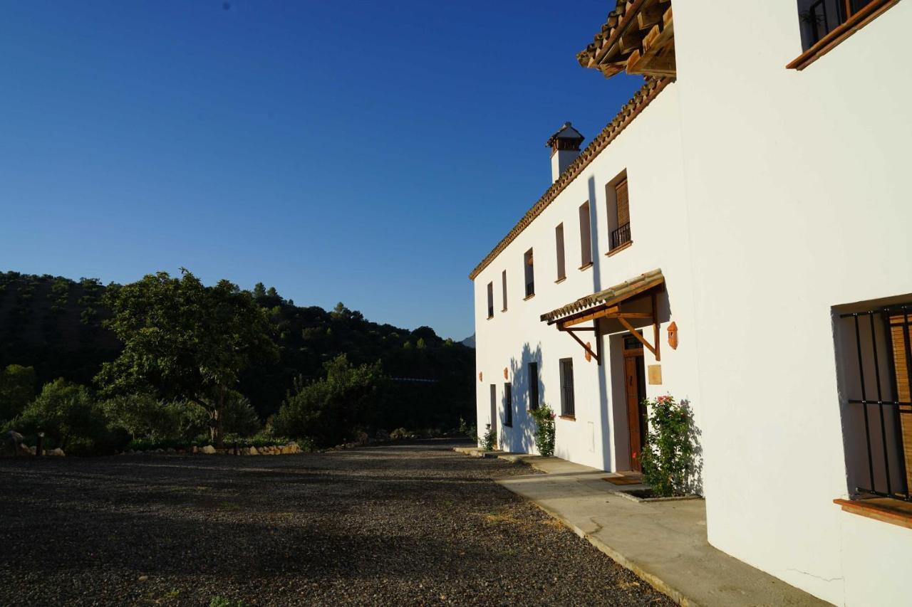 Hacienda Molino Nuevo Villa Algodonales Eksteriør bilde