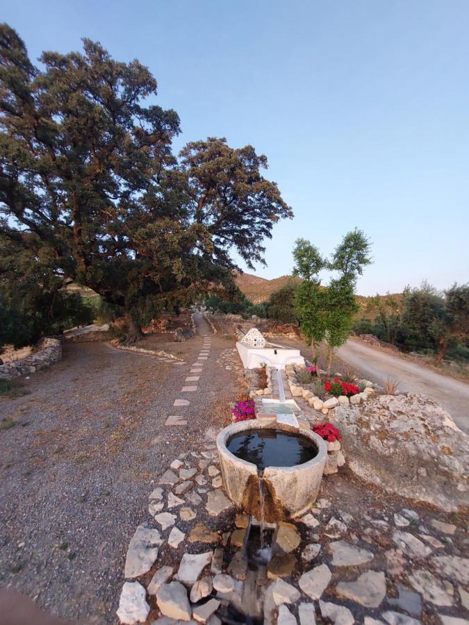 Hacienda Molino Nuevo Villa Algodonales Eksteriør bilde