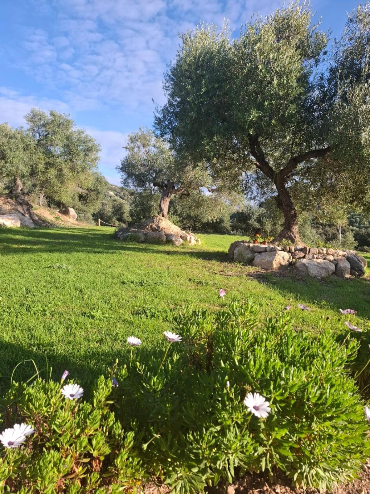 Hacienda Molino Nuevo Villa Algodonales Eksteriør bilde