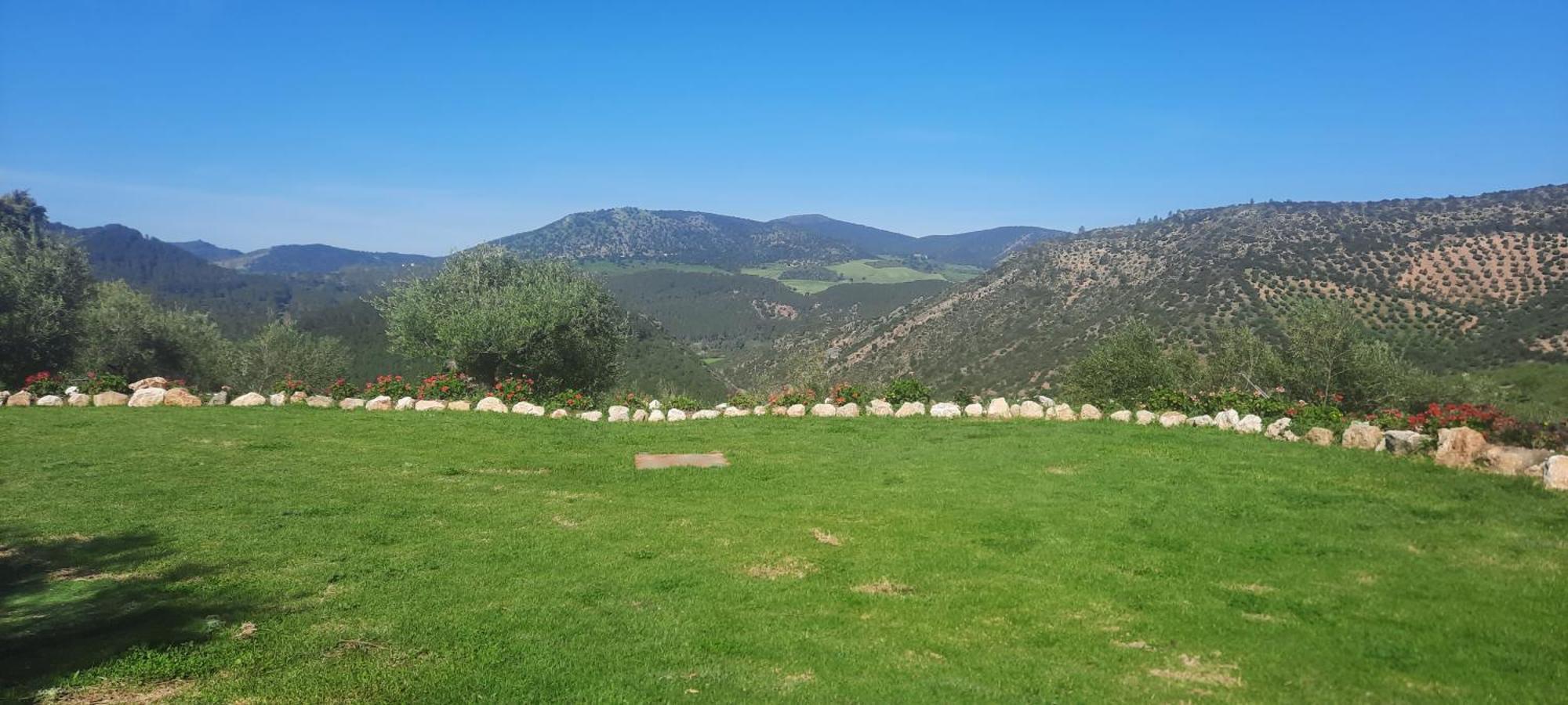 Hacienda Molino Nuevo Villa Algodonales Eksteriør bilde